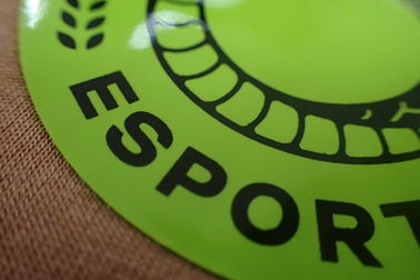 Labels élégants personnalisés de transfert de chaleur pour la taille adaptée aux besoins du client par vêtements