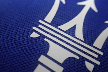Le transfert de chaleur fait sur commande d'encre de logo raccorde des labels de tissu pour le polo, vêtements de sports
