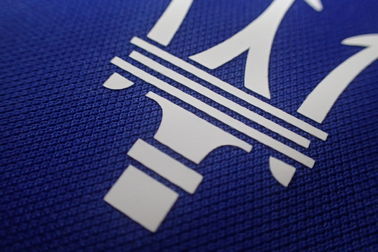 Le transfert de chaleur fait sur commande d'encre de logo raccorde des labels de tissu pour le polo, vêtements de sports