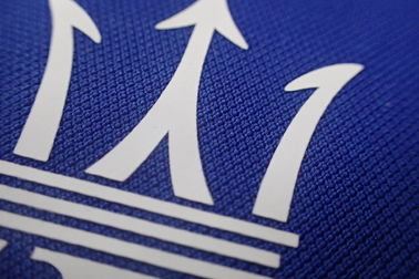 Le transfert de chaleur fait sur commande d'encre de logo raccorde des labels de tissu pour le polo, vêtements de sports