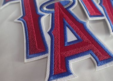 Le textile cousent sur les corrections brodées faites sur commande tissées d'habillement