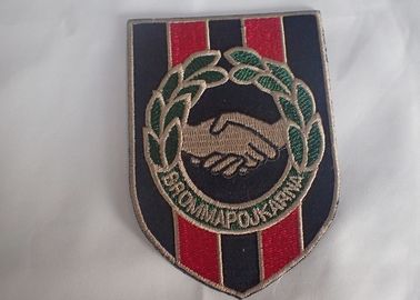 Cousez le fer sur les corrections de broderie brodées par coutume de l'habillement 3d